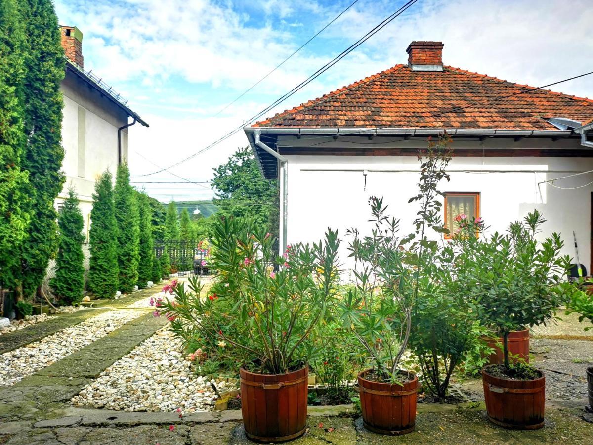 Curtea de ArgeşCasa Petrescu别墅 外观 照片