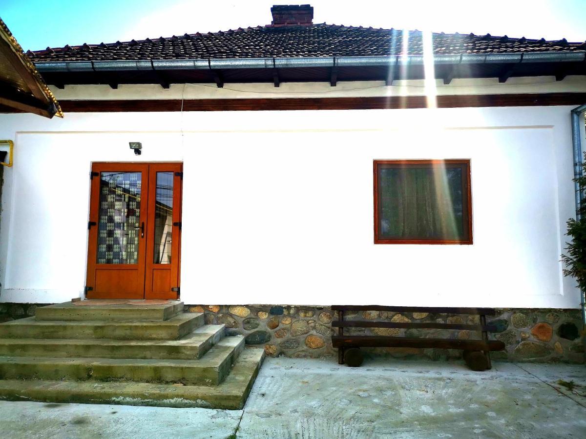 Curtea de ArgeşCasa Petrescu别墅 外观 照片