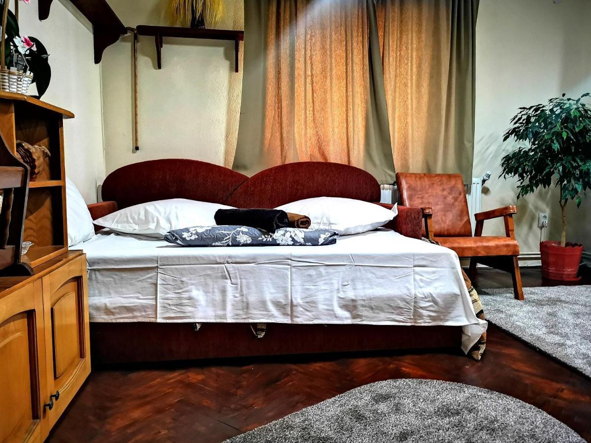 Curtea de ArgeşCasa Petrescu别墅 外观 照片